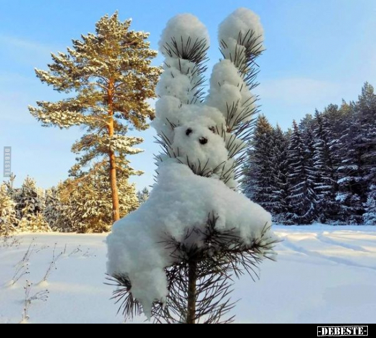  - Lustige Bilder | DEBESTE.de