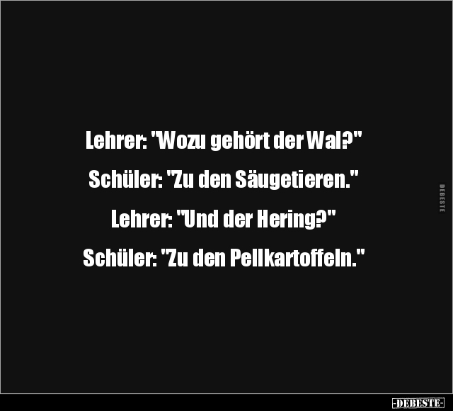 Lehrer: "Wozu gehört der Wal?" .. - Lustige Bilder | DEBESTE.de