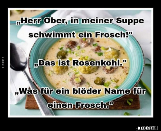 "Herr Ober, in meiner Suppe schwimmt ein Frosch!".. - Lustige Bilder | DEBESTE.de