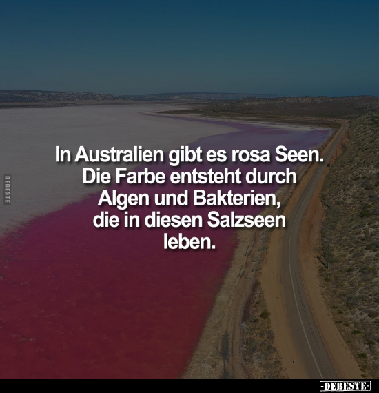 In Australien gibt es rosa Seen.. - Lustige Bilder | DEBESTE.de