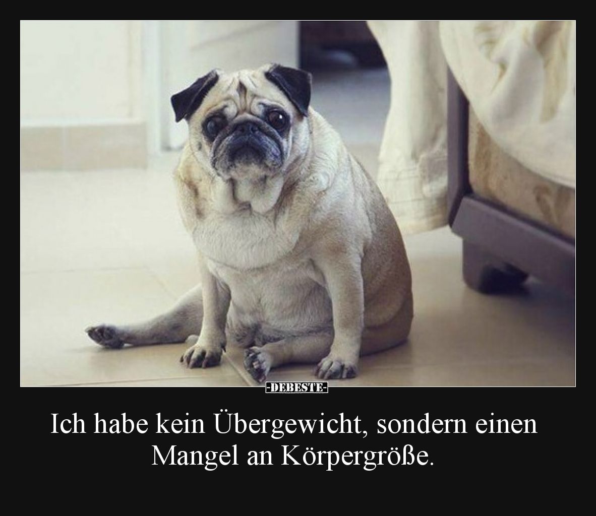 Ich habe kein Übergewicht, sondern einen Mangel an Körpergröße.