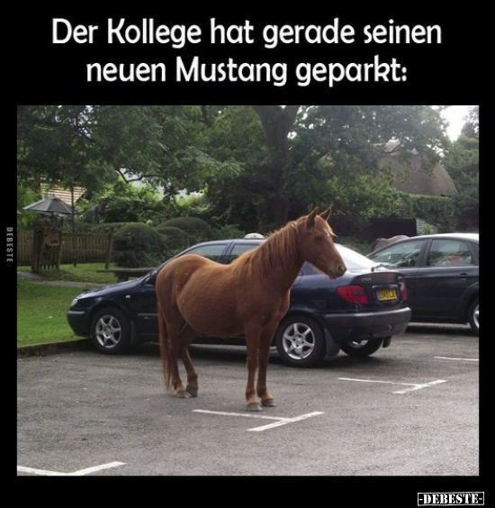 Der Kollege hat gerade seinen neuen Mustang geparkt.. - Lustige Bilder | DEBESTE.de