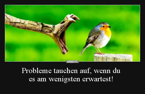 Probleme tauchen auf, wenn du  es am wenigsten erwartest!.. - Lustige Bilder | DEBESTE.de