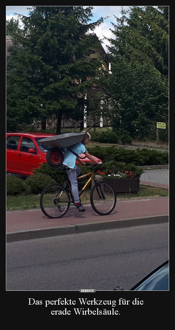 Das perfekte Werkzeug für die erade Wirbelsäule...