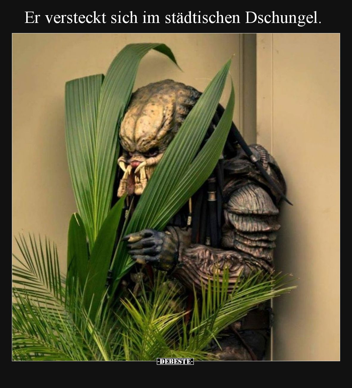 Er versteckt sich im städtischen Dschungel.
