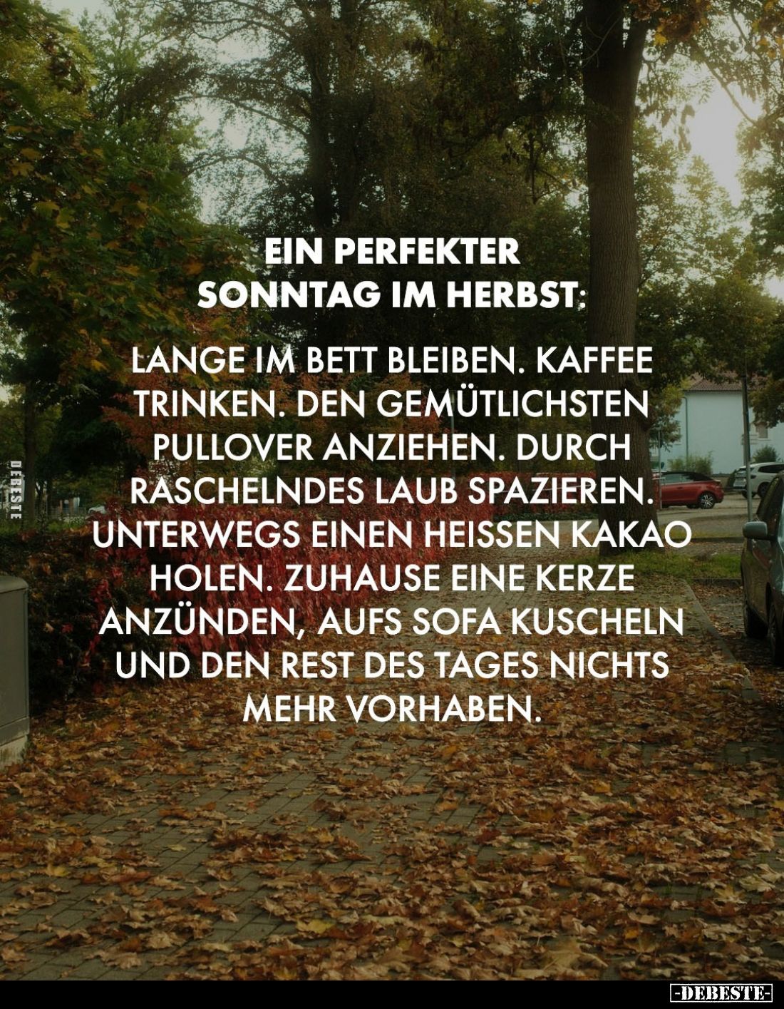 Ein perfekter Sonntag im Herbst:

Lange im Bett bleiben. Kaffee trinken. Den gemütlichsten Pullover anziehen. Durch raschel...