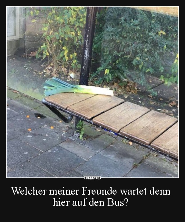 Welcher meiner Freunde wartet denn hier auf den Bus?