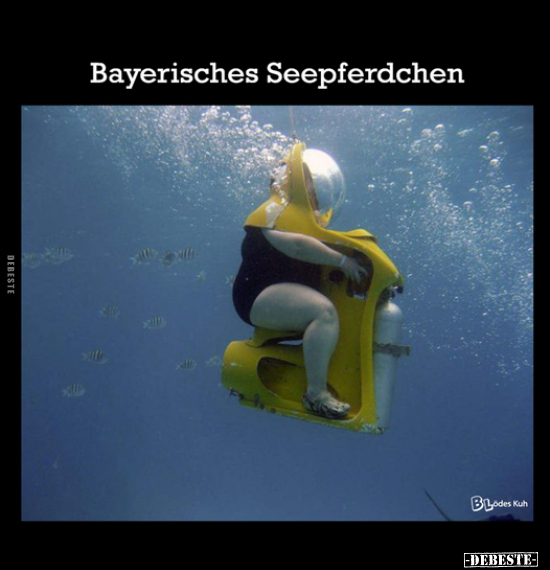 Bayerisches Seepferdchen.. - Lustige Bilder | DEBESTE.de