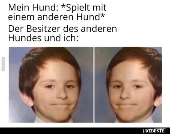 Mein Hund: *Spielt mit einem anderen Hund*..