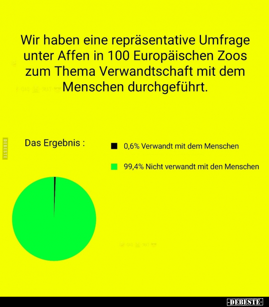 Wir haben eine repräsentative Umfrage unter Affen.. - Lustige Bilder | DEBESTE.de