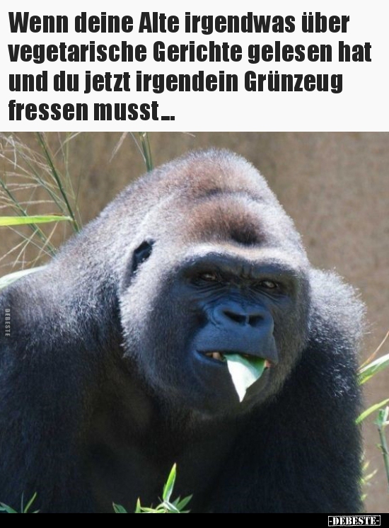 Wenn deine Alte irgendwas über vegetarische Gerichte..