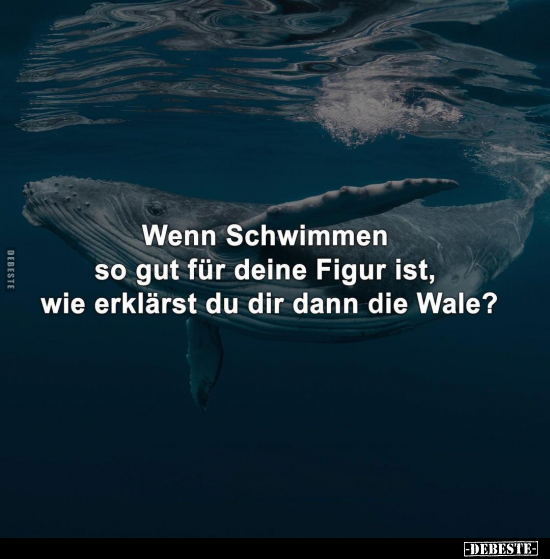 Wenn Schwimmen so gut für deine Figur ist, wie erklärst du.. - Lustige Bilder | DEBESTE.de