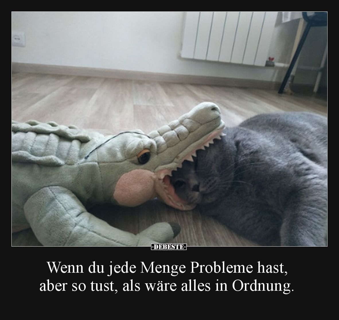 Wenn du jede Menge Probleme hast, 
aber so tust, als wäre alles in Ordnung.