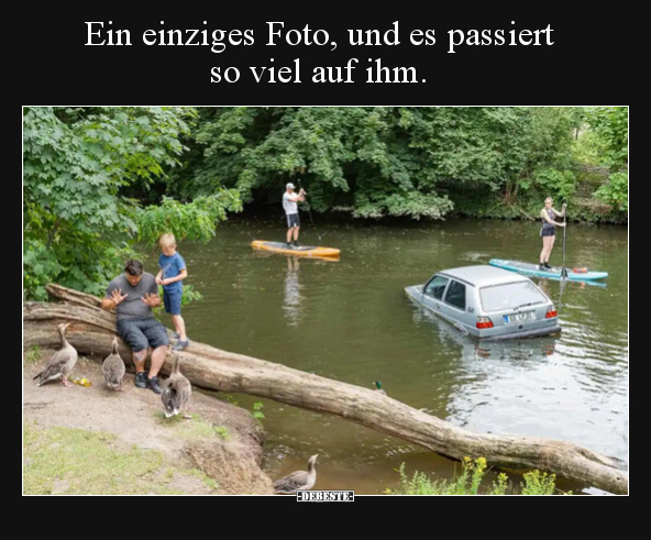 Ein einziges Foto, und es passiert so viel auf ihm.