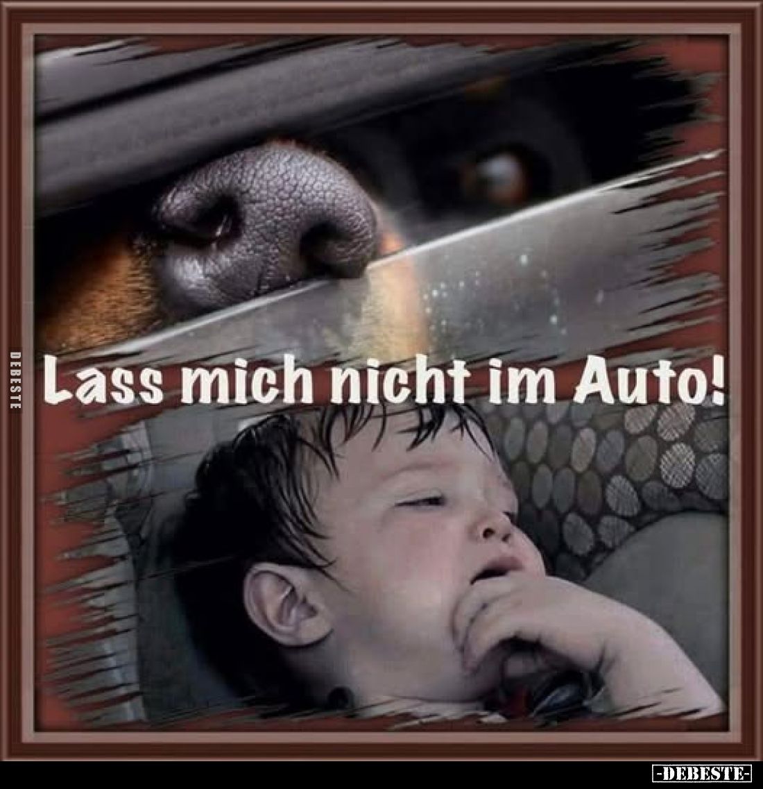 Lass mich nicht im Auto!