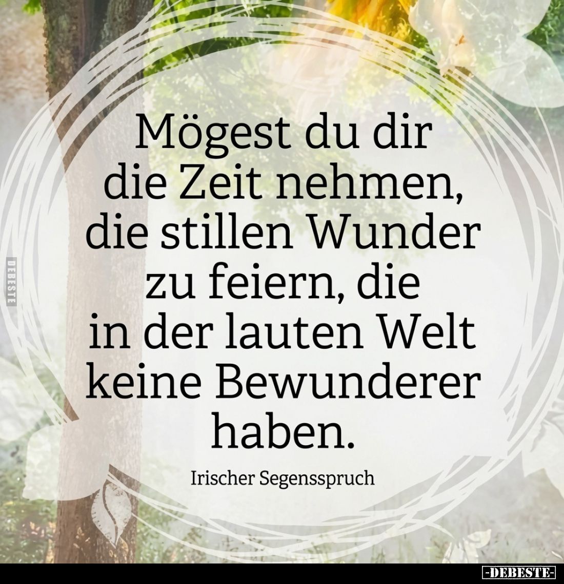 Mögest du dir die Zeit nehmen, die stillen Wunder zu feiern, die in der lauten Welt keine Bewunderer haben.
Irischer Segenss...