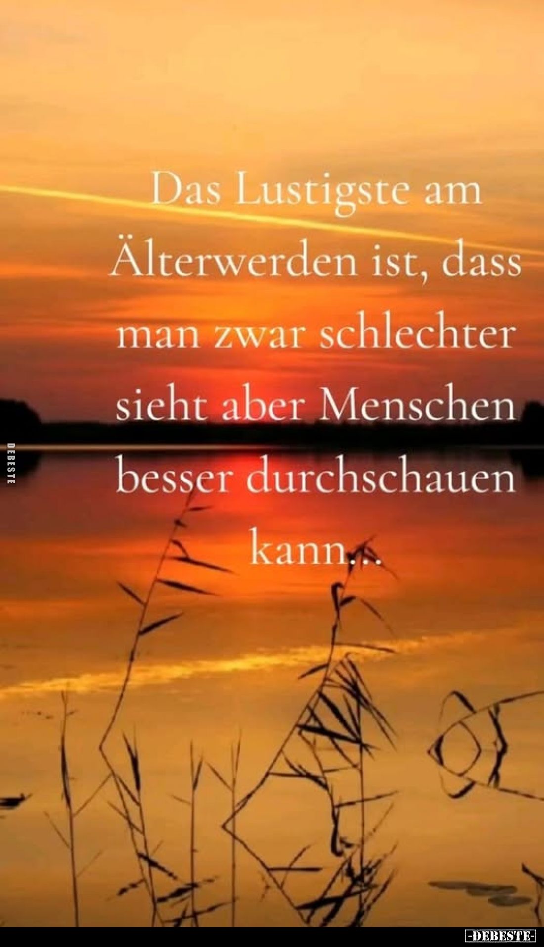 Das Lustigste am Älterwerden ist, dass man zwar schlechter sicht aber Menschen besser durchschauen kann...
