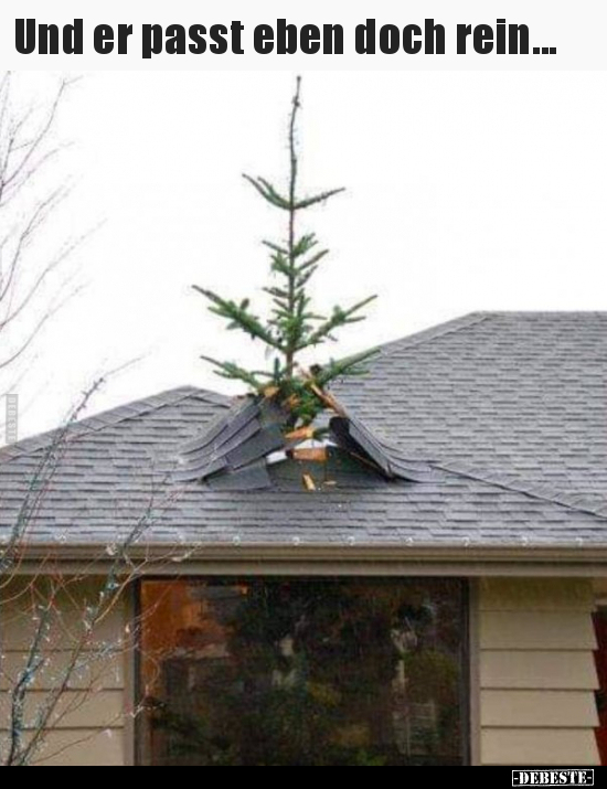 Und er passt eben doch rein