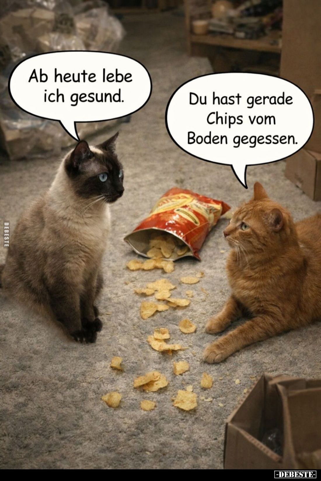 Ab heute lebe ich gesund. -
Du hast gerade Chips vom Boden gegessen.