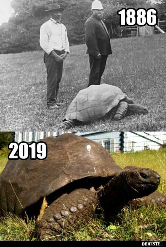  - Lustige Bilder | DEBESTE.de