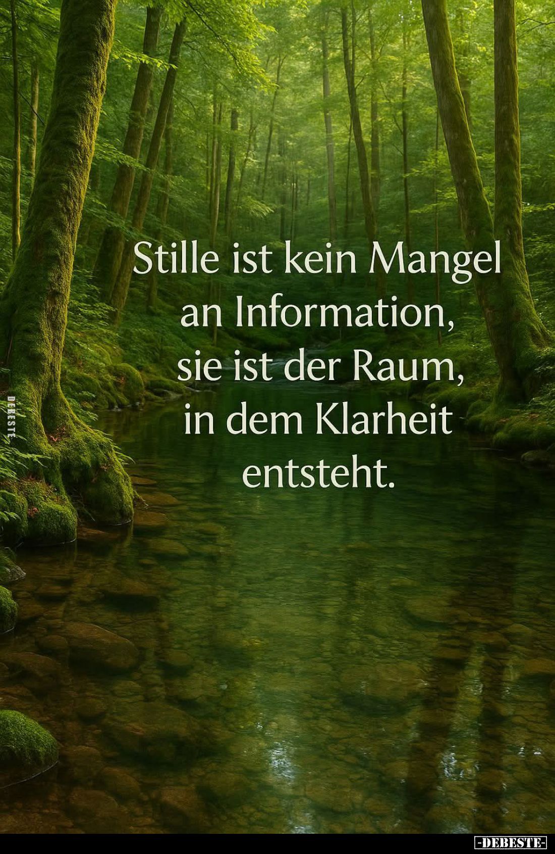 Stille ist kein Mangel an Information, sie ist der Raum, in dem Klarheit entsteht.