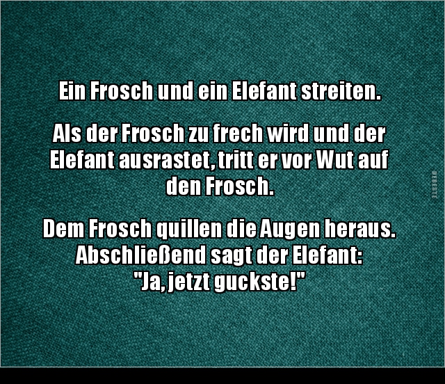 Ein Frosch und ein Elefant streiten.. - Lustige Bilder | DEBESTE.de