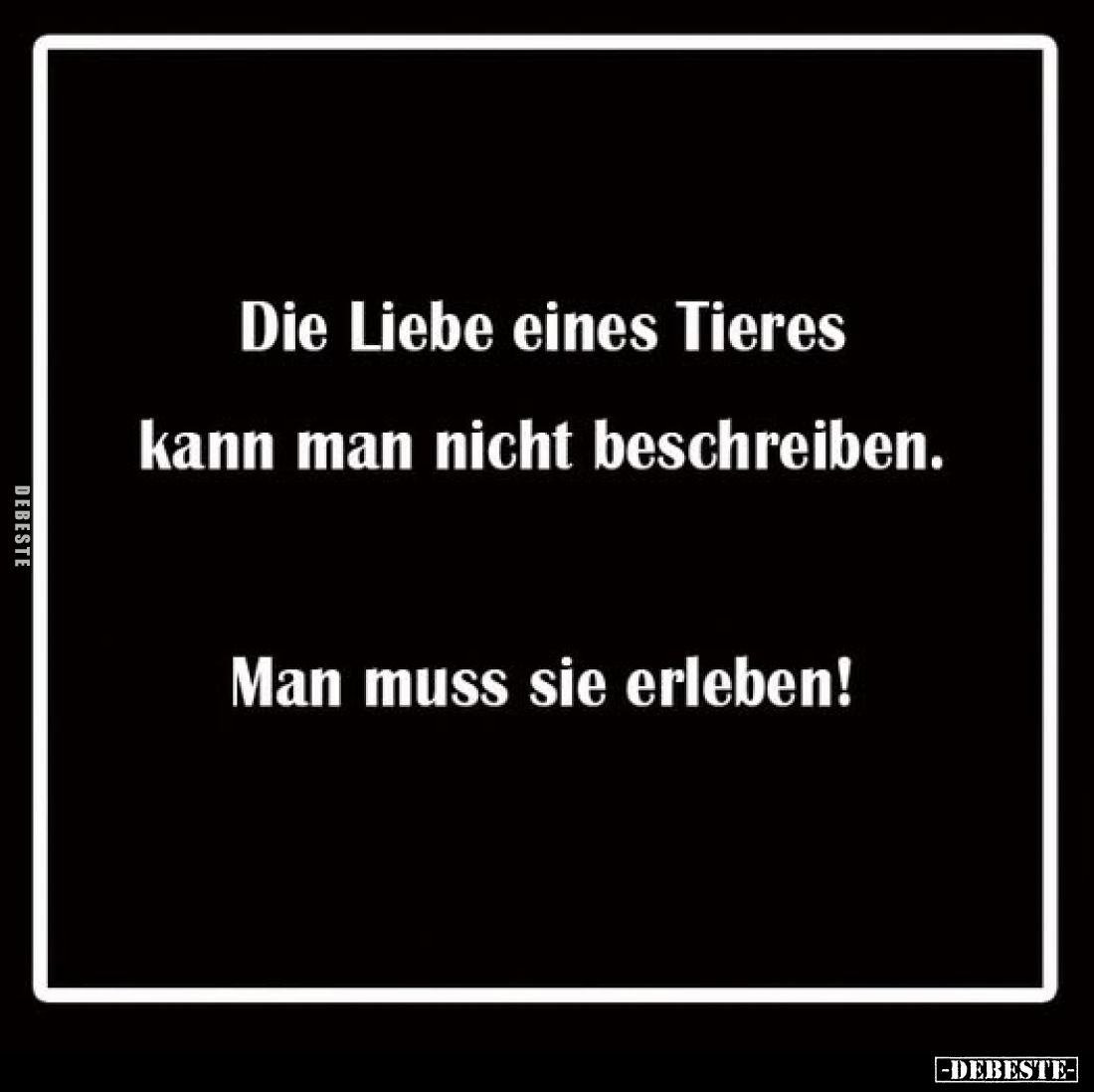 Die Liebe eines Tieres kann man nicht beschreiben.
Man muss sie erleben!