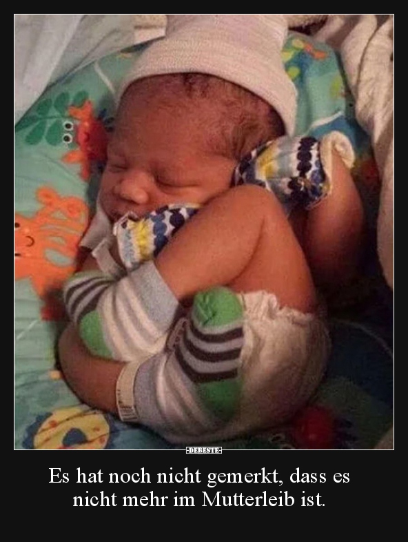 Es hat noch nicht gemerkt, dass es nicht mehr im..