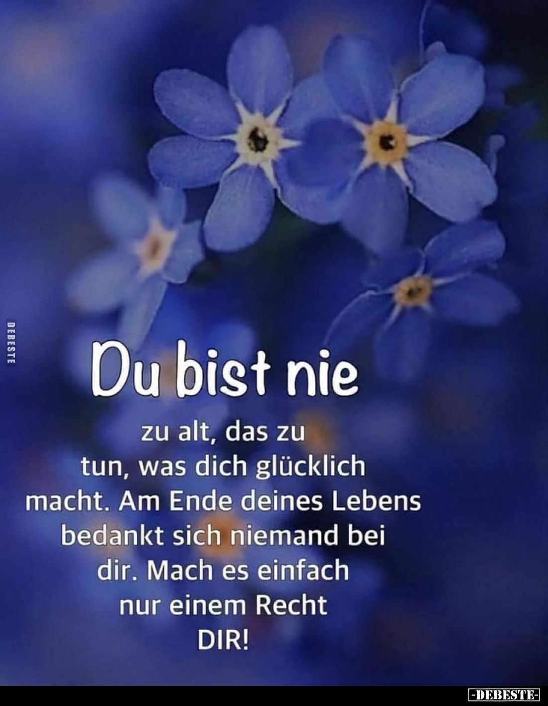 Du bist nie
zu alt, das zu tun, was dich glücklich macht. Am Ende deines Lebens bedankt sich niemand bei dir. Mach es einfac...