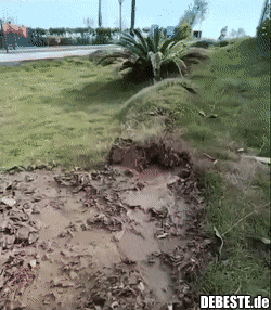 Ein Erdmonster..