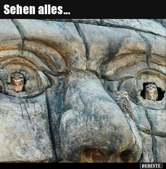 Sehen alles...