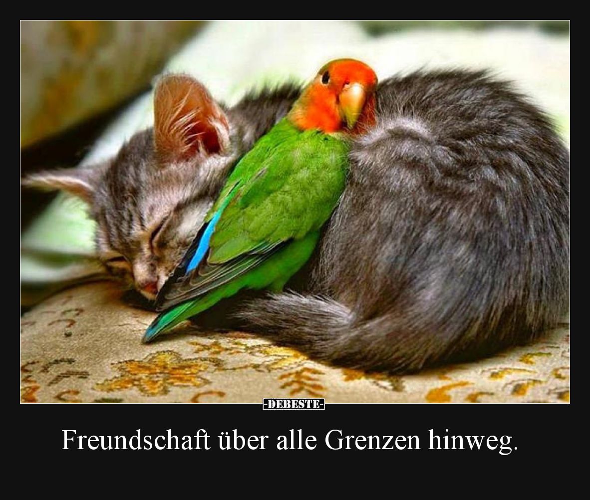 Freundschaft über alle Grenzen hinweg.