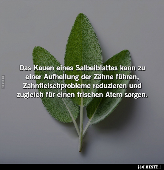 Das Kauen eines Salbeiblattes kann zu einer Aufhellung.. - Lustige Bilder | DEBESTE.de