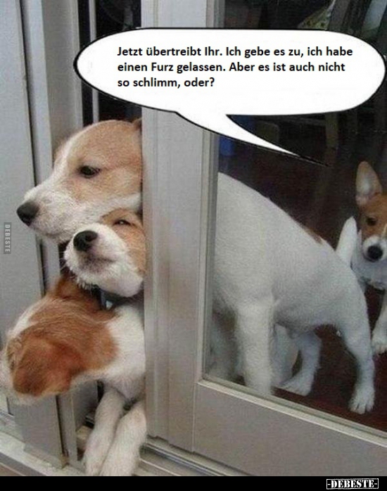 Jetzt übertreibt Ihr. Ich gebe es zu, ich habe einen Furz..