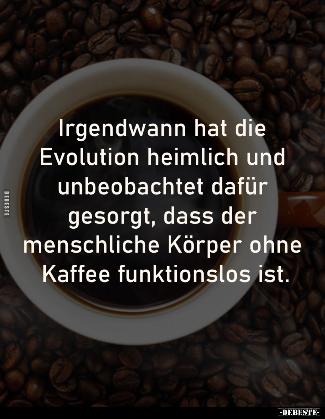 Irgendwann hat die 
Evolution heimlich und 
unbeobachtet dafür 
gesorgt, dass der 
menschliche Körper ohne 
Kaffee funkt...