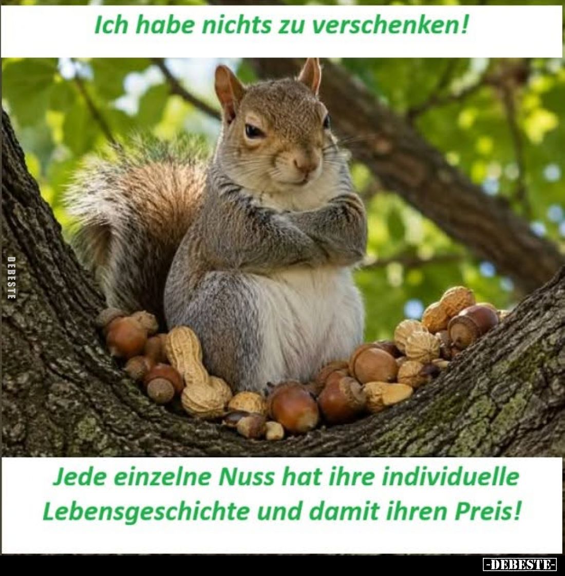 Ich habe nichts zu verschenken!
Jede einzelne Nuss hat ihre individuelle Lebensgeschichte und damit ihren Preis!