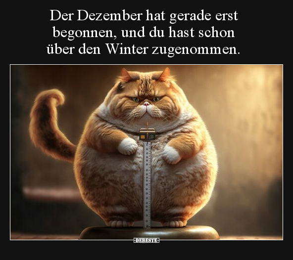 Der Dezember hat gerade erst begonnen, und du hast schon.. - Lustige Bilder | DEBESTE.de