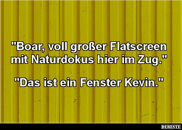 Boar, voll großer Flatscreen mit Naturdokus hier im Zug. - Lustige Bilder | DEBESTE.de