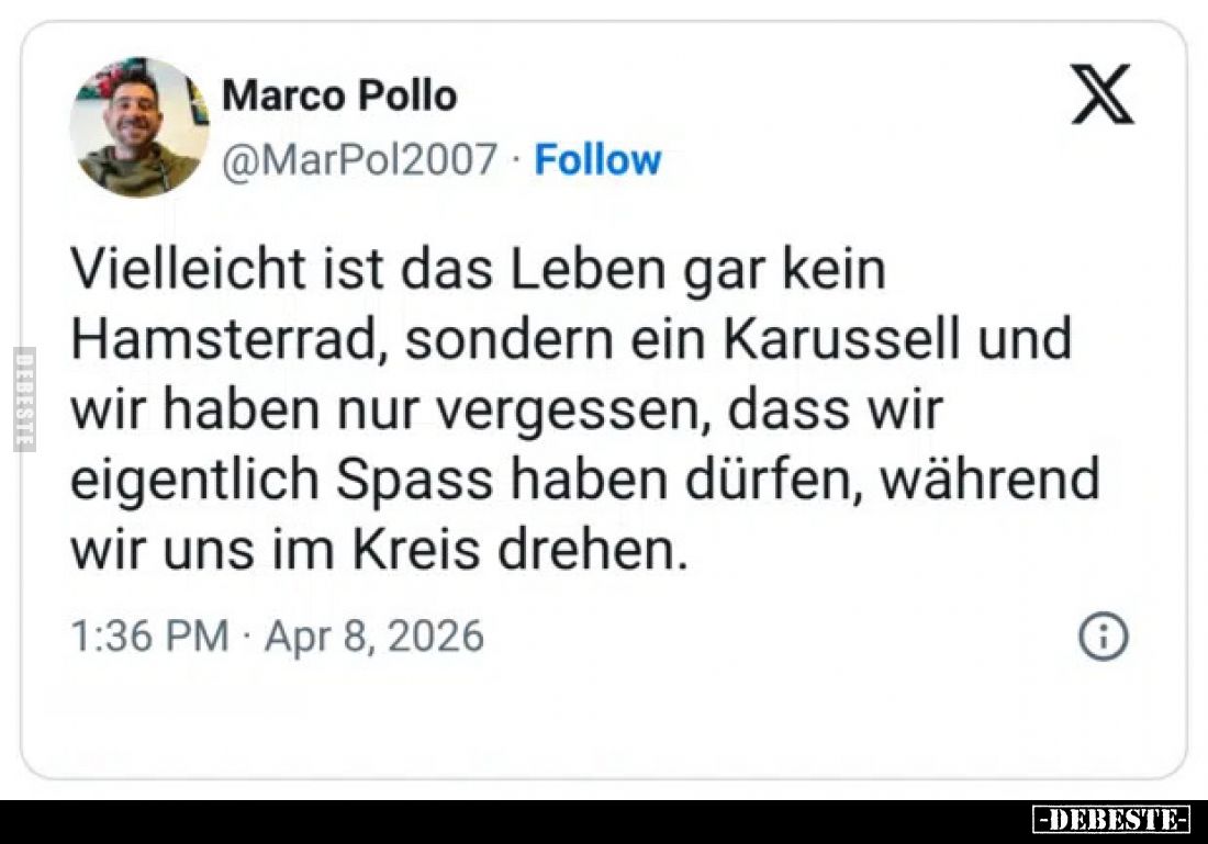 Vielleicht ist das Leben gar kein Hamsterrad, sondern ein.. - Lustige Bilder | DEBESTE.de