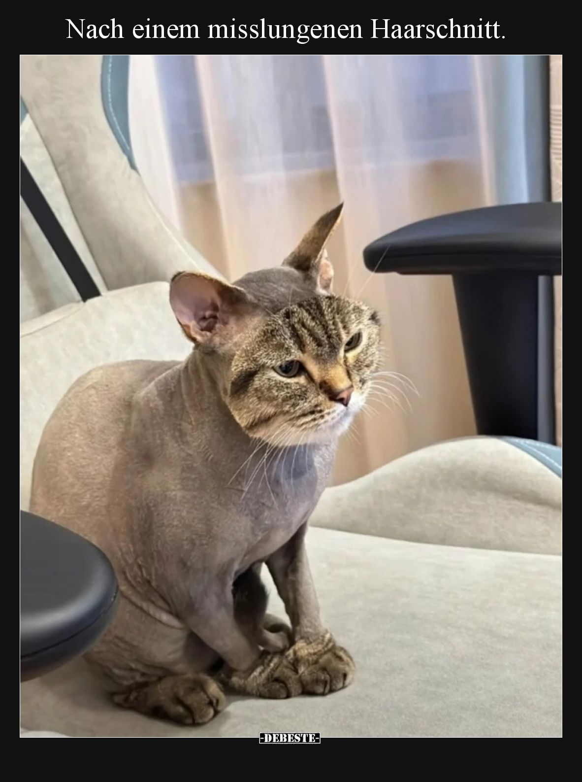 Nach einem misslungenen Haarschnitt... - Lustige Bilder | DEBESTE.de