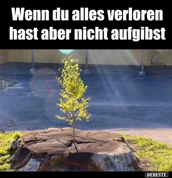 Wenn du alles verloren hast aber nicht aufgibst