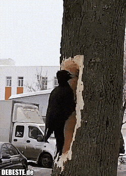  - Lustige Bilder | DEBESTE.de