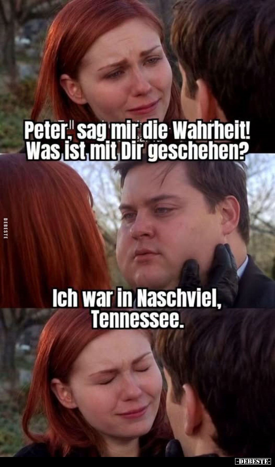 Peter, sag mir die Wahrheit! Was ist mit Dir geschehen?
Ich war in Naschviel, Tennessee.