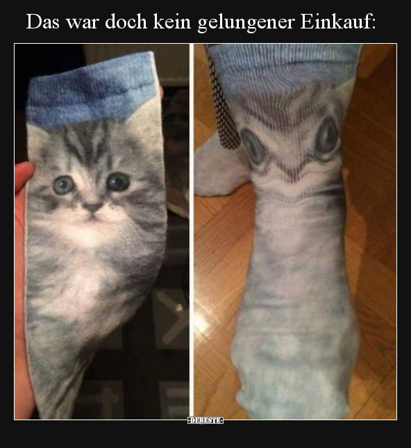 Das war doch kein gelungener Einkauf..