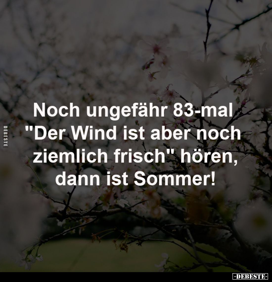 Noch ungefähr 83-mal 
"Der Wind ist aber noch 
ziemlich frisch" hören,
dann ist Sommer!