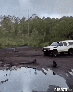 Erstmal einen Ausflug machen!