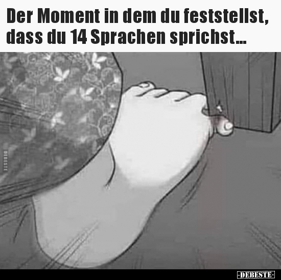 Der Moment in dem du feststellst, dass du 14 Sprachen..