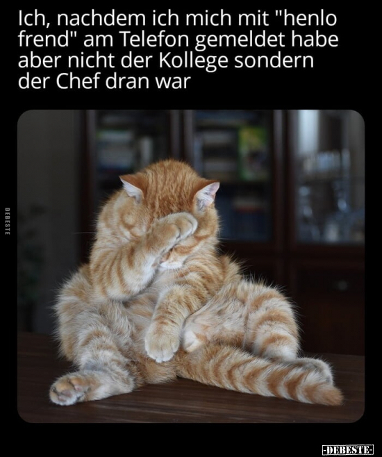 Ich, nachdem ich mich mit "henlo frend" am Telefon gemeldet.. - Lustige Bilder | DEBESTE.de