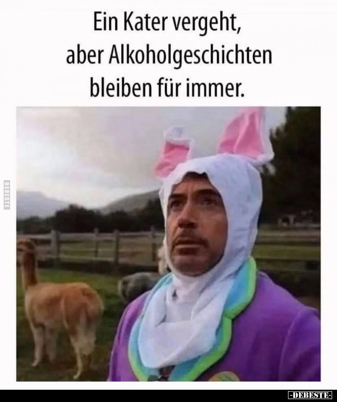 Ein Kater vergeht,
aber Alkoholgeschichten bleiben für immer.