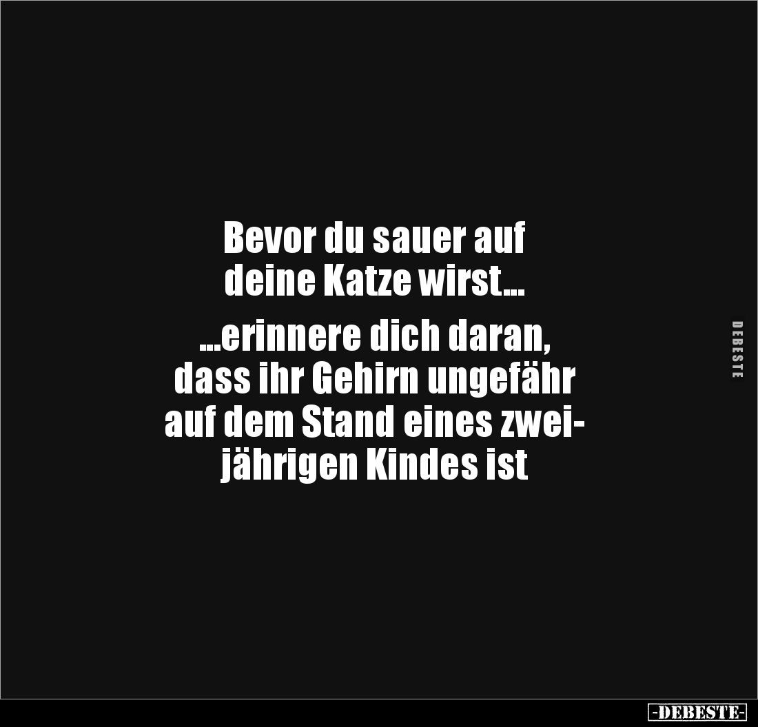 Bevor du sauer auf 
deine Katze wirst... 

...erinnere dich daran, 
dass ihr Gehirn ungefähr 
auf dem Stand eines zwei-...
